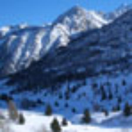 Dong Jing Japanese Restaurant